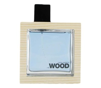 Dsquared2 He Ocean Wet Wood men 106681