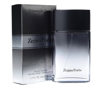 Ermenegildo Zegna Forte man 107319