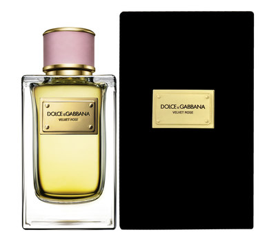 Dolce Gabbana (D&G) Velvet Rose 193858