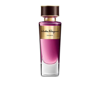 Salvatore Ferragamo Calimala 208038