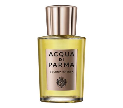 Acqua Di Parma Colonia Intensa 98478