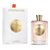 Atkinsons Rose in Wonderland 35153